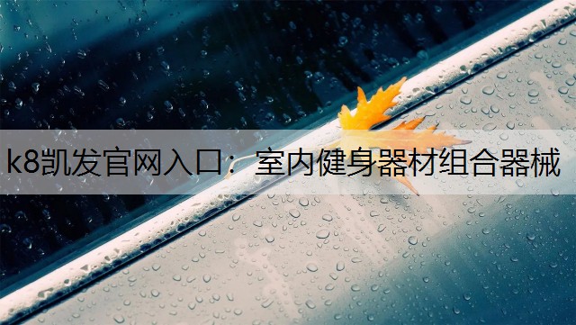 k8凯发官网入口：室内健身器材组合器械